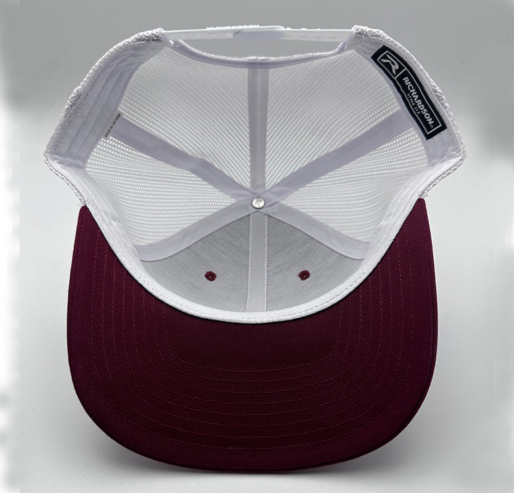 DIGGS - BASEBALL HAT