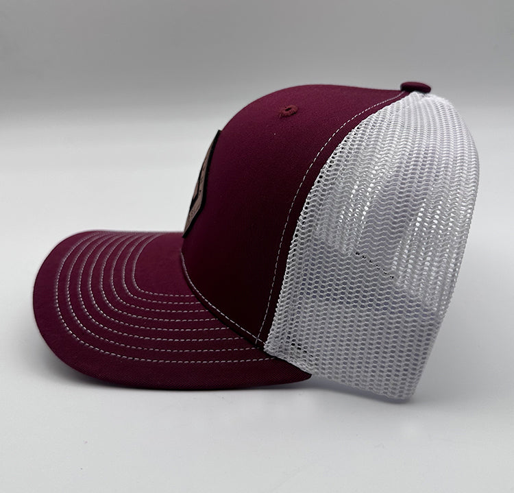 DIGGS - BASEBALL HAT