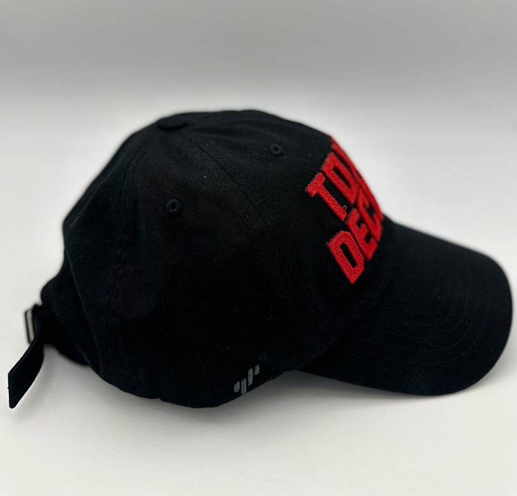 TOXXIC DECIBELS - PROMO HAT